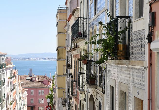 Apartamento em Lisboa - Lapa Chic Apartment Apartamento em Lisboa - Lapa Chic Apartment
