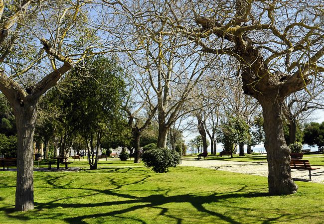 Apartamento em Setúbal - Sado Blue City&River Flats - Galapinhos Apartamento em Setúbal - Sado Blue City&River Flats - Galapinhos