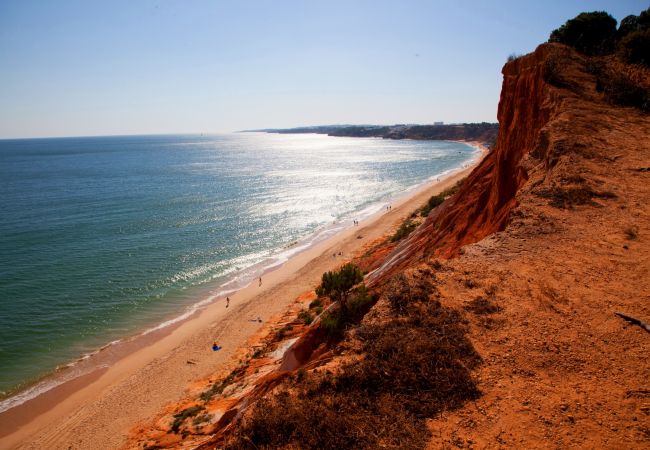 Estúdio em Albufeira - Açoteias Studio Estúdio em Albufeira - Açoteias Studio