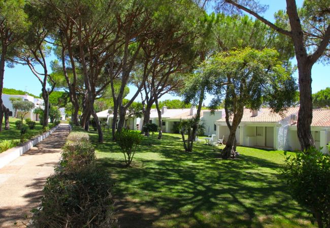 Estúdio em Albufeira - Açoteias Studio Estúdio em Albufeira - Açoteias Studio