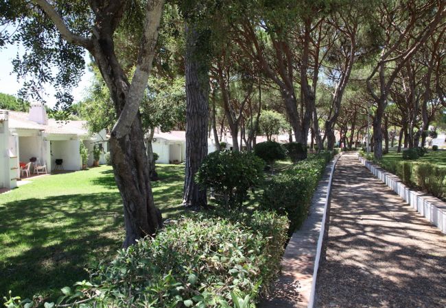 Estúdio em Albufeira - Açoteias Studio Estúdio em Albufeira - Açoteias Studio