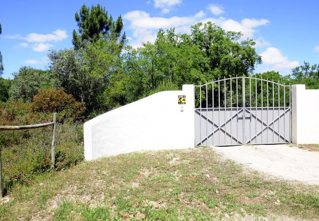 Villa in Azeitão - Arrábida Country Retreat Villa in Azeitão - Arrábida Country Retreat