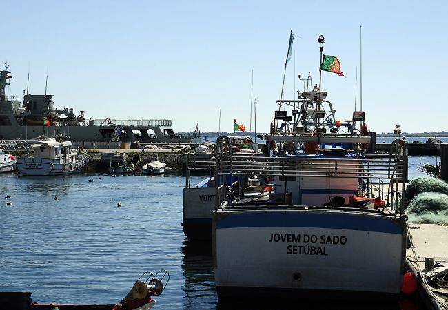 Ferienwohnung in Setúbal - Sado Blue City&River Flats - Creiro Ferienwohnung in Setúbal - Sado Blue City&River Flats - Creiro
