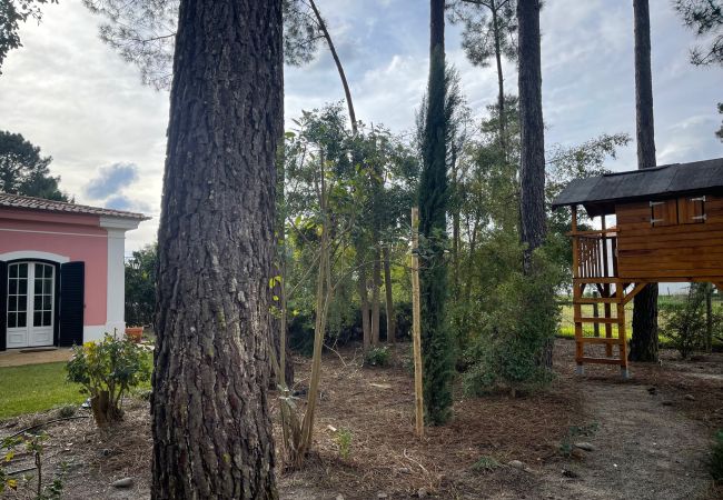 Villa in Sesimbra - Quinta do Peru Golf Retreat Villa in Sesimbra - Quinta do Peru Golf Retreat