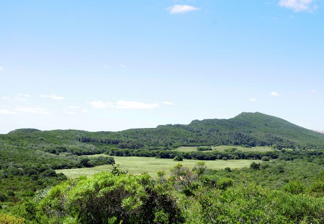 Appartamento a Setúbal - Sado Blue City&River Flats - Galapinhos Appartamento a Setúbal - Sado Blue City&River Flats - Galapinhos